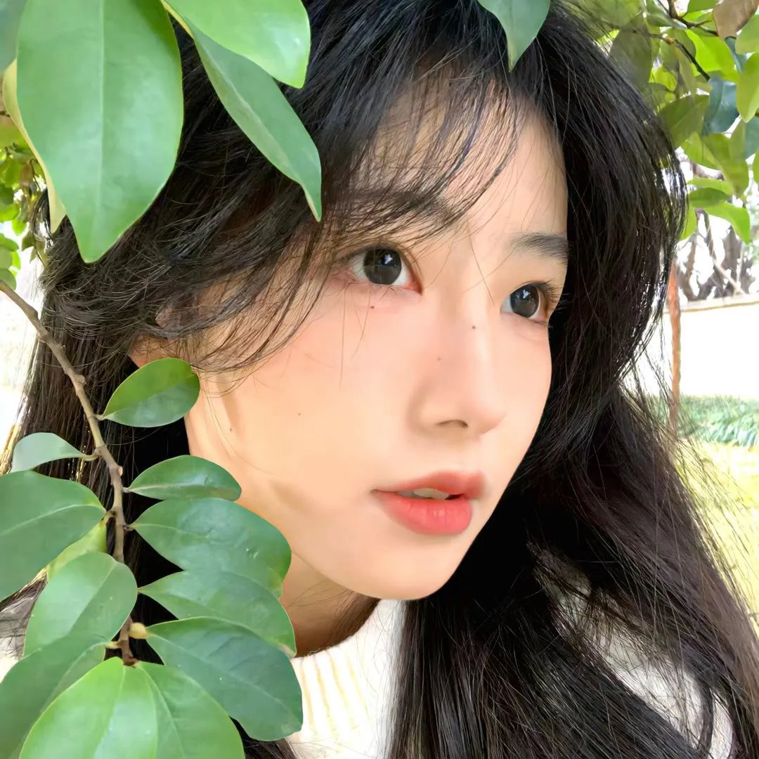 大江南北粤语